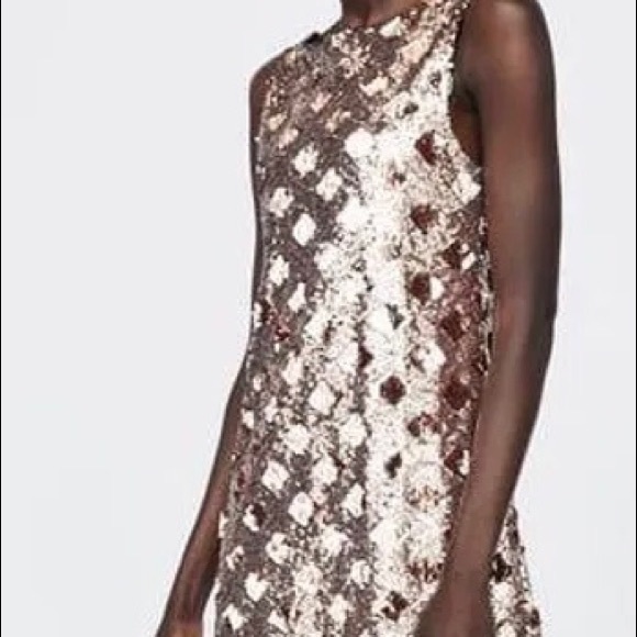 ZARA Sequined Mini Dress, with “reversible sequins” - Picture 4 of 12